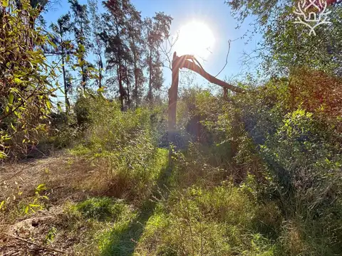 Terreno en Venta 72  mts Fondo