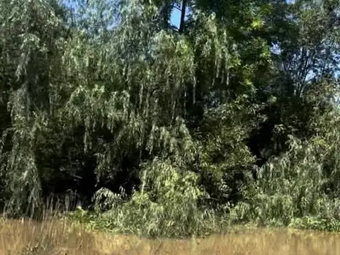 Terreno en Venta en Islas, USD 20.000