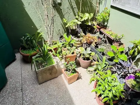 Gorriti e/ Moises Lebensohn y Giribone