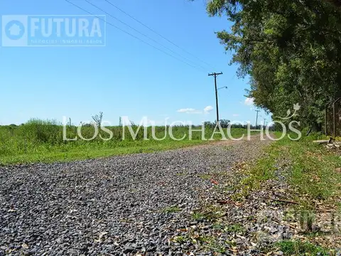 Terreno en Venta de 271,0 m2