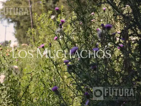 Terreno a la venta en Barrio Abierto Los Muchachos - Piñero