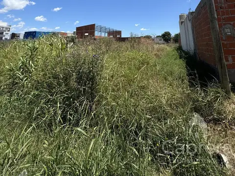 Calle 84 entre 6 y 7