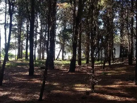 Juanita Soria a 700 mts del mar - FRACCION 1 PARCELAS 15C, 16A, 17A Y 17C