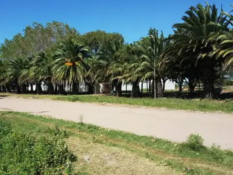 Terreno en Venta de 300,0 m2