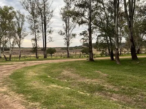 Terreno en Venta 105  mts Fondo