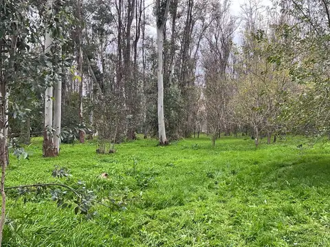 Terreno en Estancia Estrella Federal, Ramallo