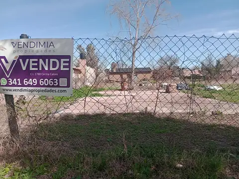 Terreno en venta andino