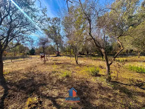 Lotes de 2000 m2 en Loma Bola, sobre avenida Principal