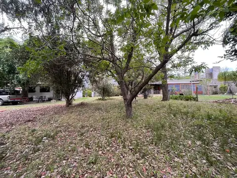 Terreno forestado en Colastiné.