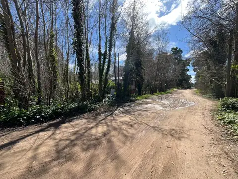 Pinamar entre calle 36 y 37