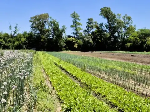 Fracción de campo 68.800 M2 Escobar Ideal Loteo