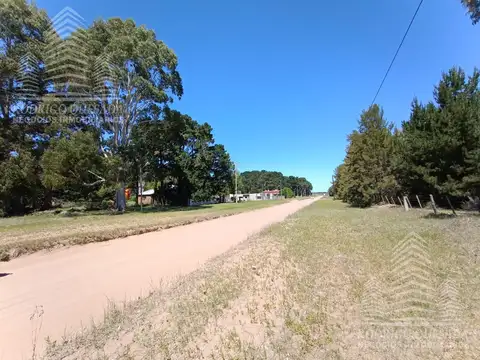 |18 HECTAREAS EN EL PINAR| |IDEAL LOTEO| |LA LUCILA|