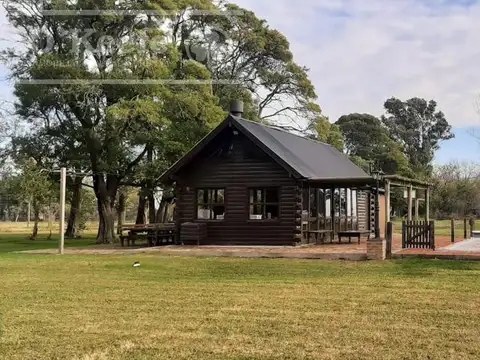 Campo mixto de 340 has sobre ruta 2   