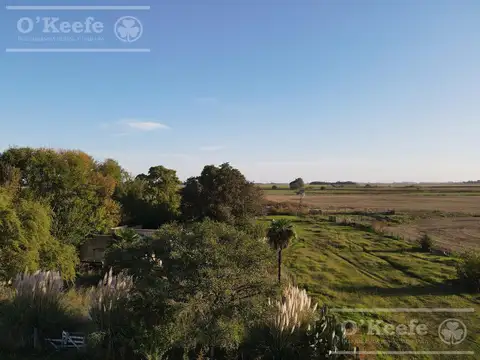 Campo mixto de 340 has sobre ruta 2   