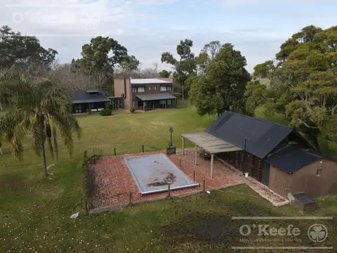 Campo mixto de 340 has sobre ruta 2   