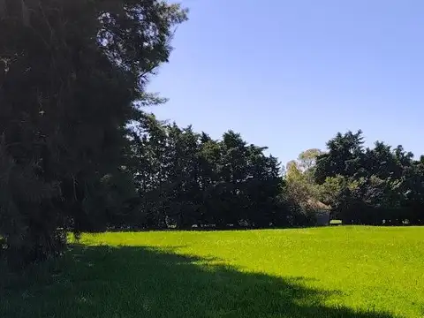 Terreno en Venta de 968,0 m2