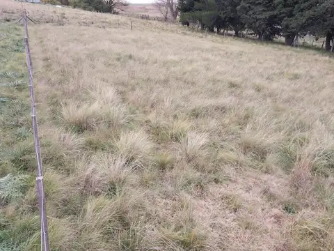 Terreno en Venta 43  mts Frente