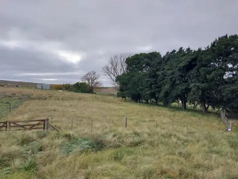 Cam. Piscicultura, Provincia de Buenos Aires, 100