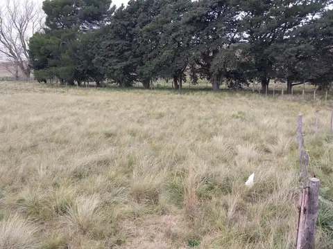 Terreno en Venta 24  mts Fondo