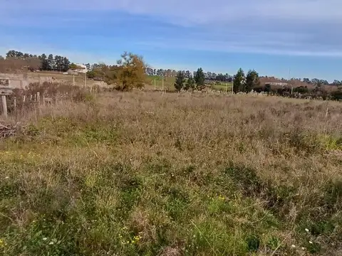 Alquiler Terreno/Chacra Manga, Montevideo