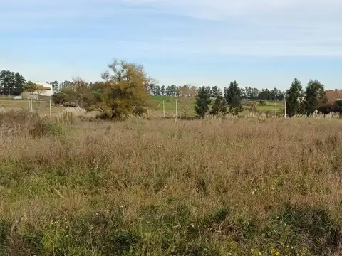 Terreno en Alquiler en Manga, $U 19.000