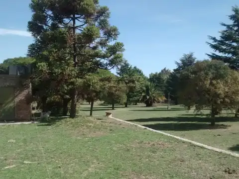 Saavedra Pcia. de Buenos Aires