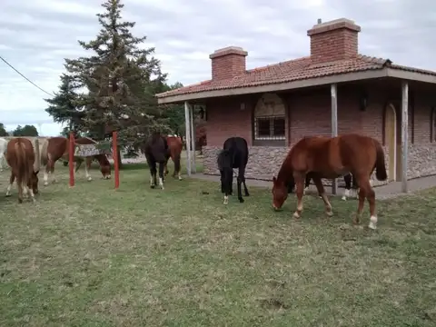 Fondo Comercio en Venta en Saavedra, USD 349.500