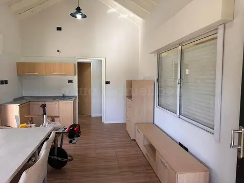 VENADO DE LAS PAMPAS