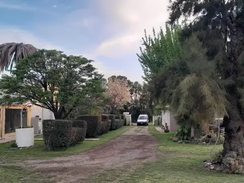 Venta Chacra mas de once Hectáreas Mercedes