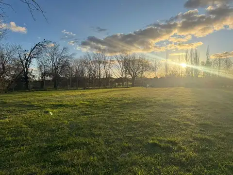 Terreno en Venta de 1687,0 m2