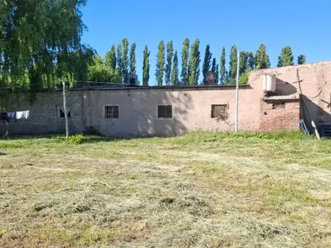 VENDO CHACRA DE 7.4 Has en Sargento Vidal Provincia de Rio Negro, con frente de Ruta Nac 151