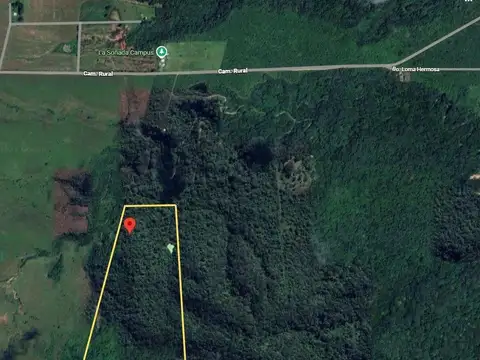 VENTA HECTAREAS EN EL CEIBAL