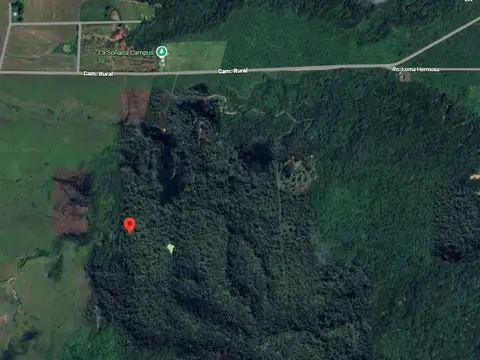 El Ceibal, San Antonio