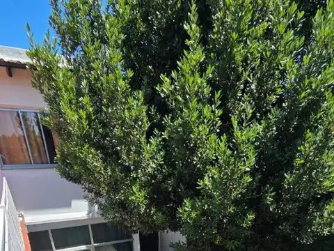 Casa 5 ambientes con 4 baños