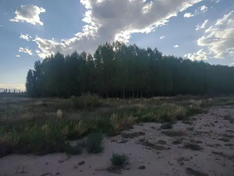 VENDO TERRENO RAMA CAIDA CALLE CUBILLOS