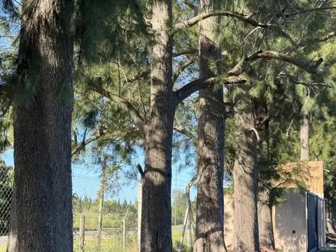 Calle 637 e/ 27 y 31 , Piso 0