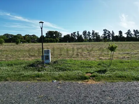 Lotes de 900 a 1500 mts en Los Pinares, Arana , Av. 637 e/ 27 y 31