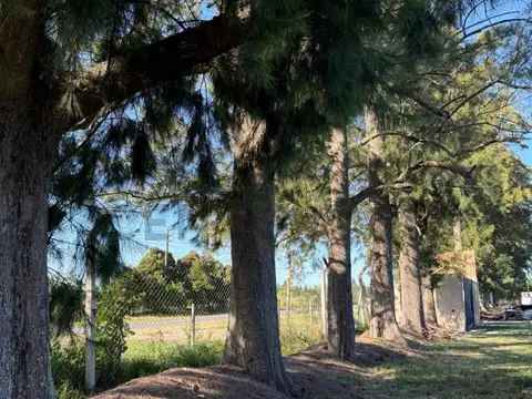 Terreno en Venta en Arana, USD 24.900