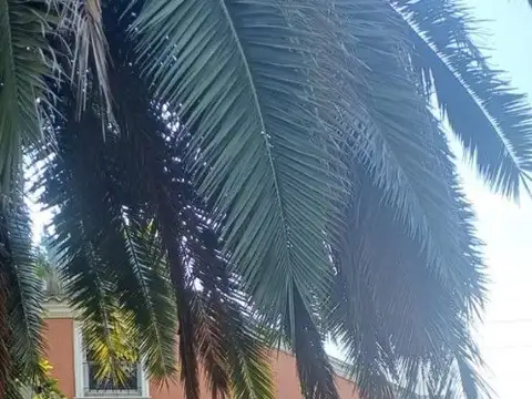 Quinta en Venta en Longchamps, USD 235.000