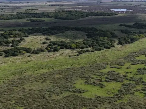 CAMPO EN VENTA     539 HECTAREAS          FRENTE DE RUTA