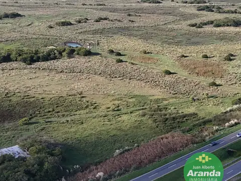 CAMPO EN VENTA     539 HECTAREAS          FRENTE DE RUTA