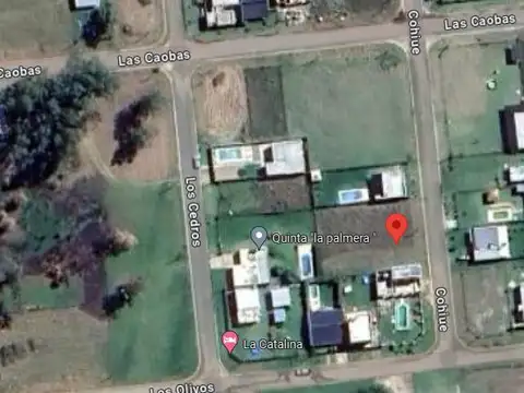 Coihues e/ Los Olivos y Las Caobas