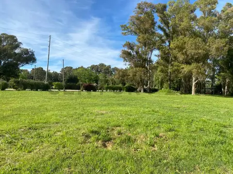 Terreno en Venta en Villa Parque Sicardi, USD 35.000