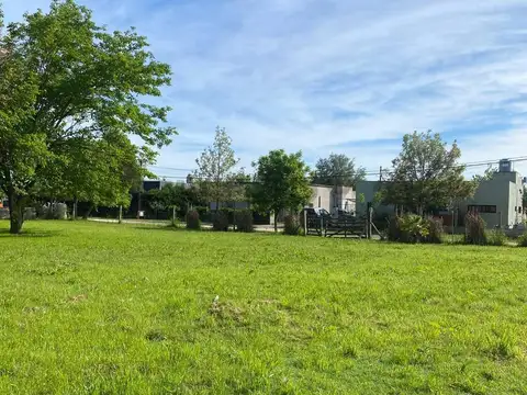 641 e/ 1 y 115 , Piso 0