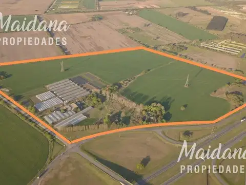 Excelente campo de 42has en venta, Lima, Zarate