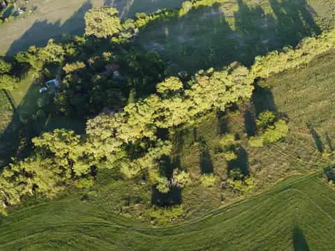 Campo en Venta de 10,50  ha