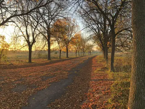 Terreno en Venta de 612,0 m2