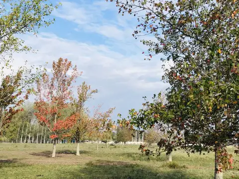 LOTE EN VENTA BARRIO EL PASO - DEL VISO - PILAR