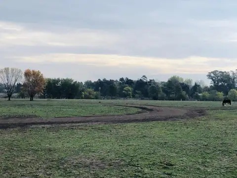 LOTE EN VENTA BARRIO EL PASO - DEL VISO - PILAR