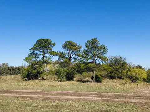 Terreno en Venta 17  mts Frente